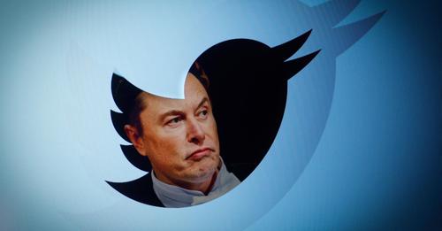 Elon Musk: Twitter-Umfragen gibt es bald nur noch für zahlende Abo-Kunden