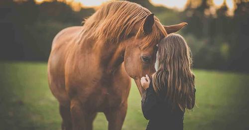 Tierarzt befreit angekettetes Pferd – und bekommt ein Dankeschön, das er nie vergessen wird