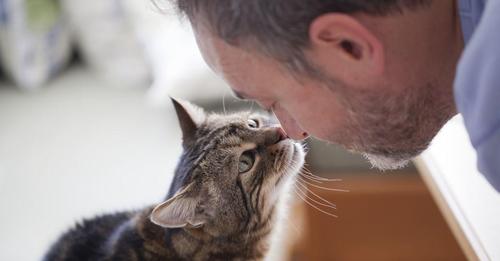 Mann bekommt ein Ultimatum von seiner veganen Freundin und wird unter Druck gesetzt, seine Katze wegzugeben